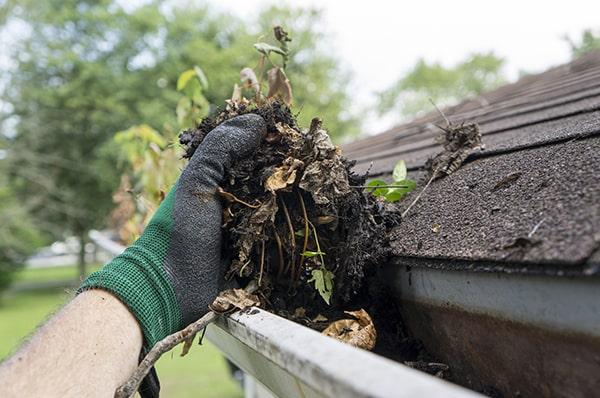 our employees are trained and experienced in gutter cleaning